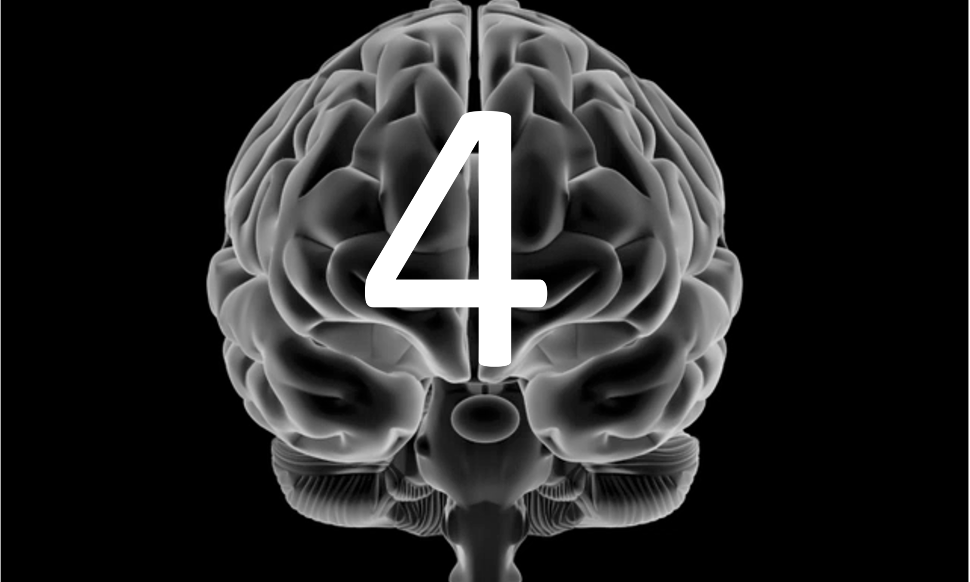 L'immagine mostra un cervello umano. Al centro del cervello, si trova il numero "4".